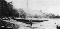 JAUNITA