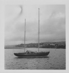 FERN MARY III
