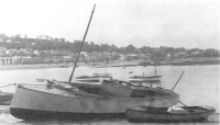 LADY CABLE