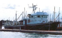 MARGHERITA