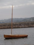 Albatross 1