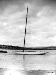 HISPANIA VI