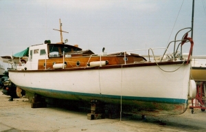 61_1